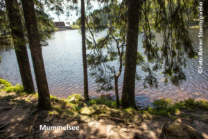 Mummelsee