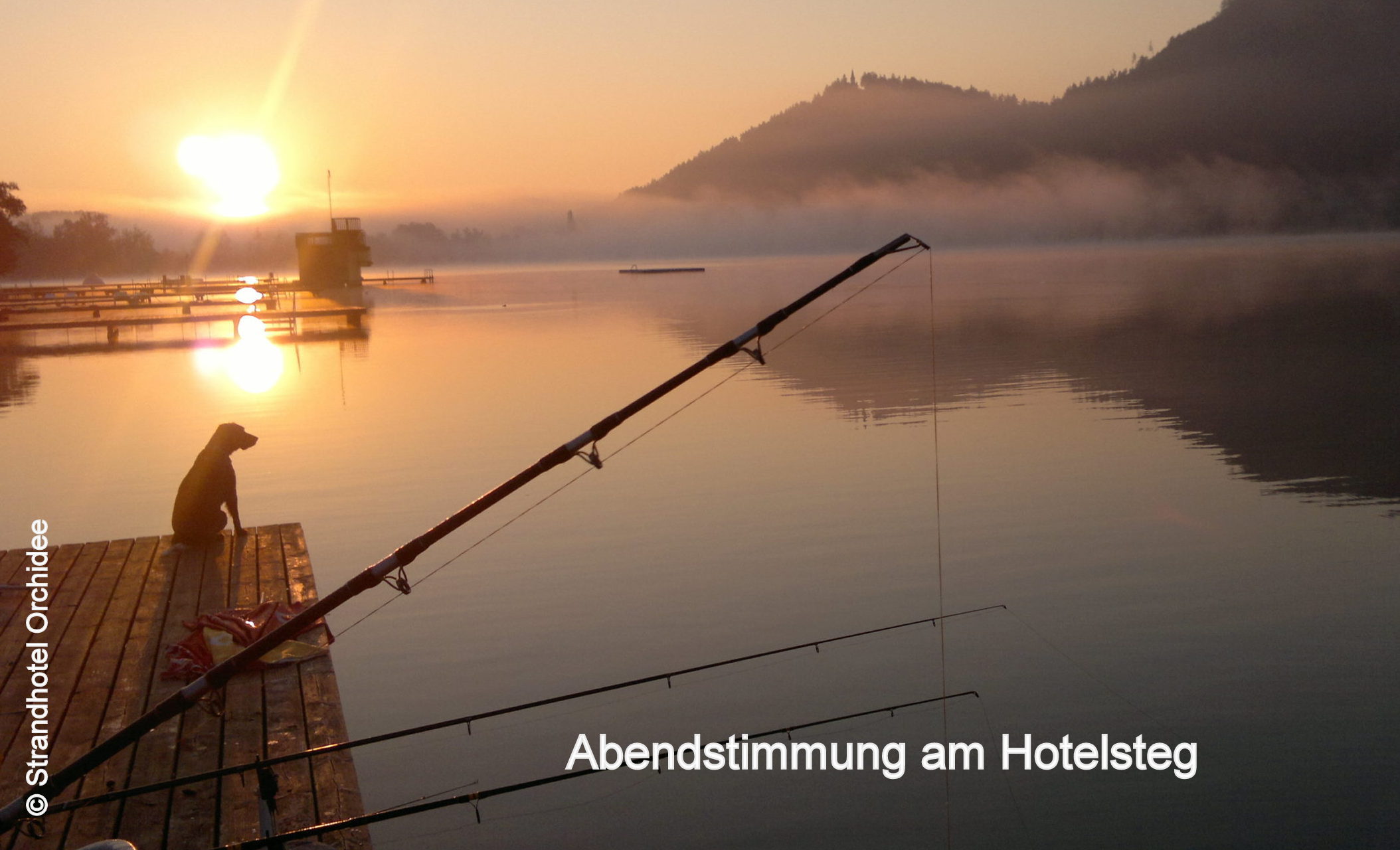 Hotel Orchidee Abendstimmung_Strandhotel Orchidee